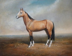 Horse "Gauhar" (Akhal-Teke)  2008, 10.6х13.7 inches, canvas, oil       