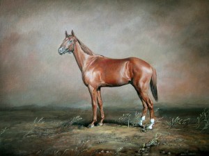 Horse "Banker" (Thoroughbred) 2005, 13.7х10.6 inche, canvas, oil       