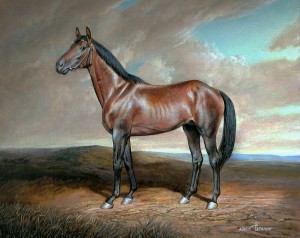 Horse "Walfram" 2006, 13.7х13.6 inches, canvas, oil        